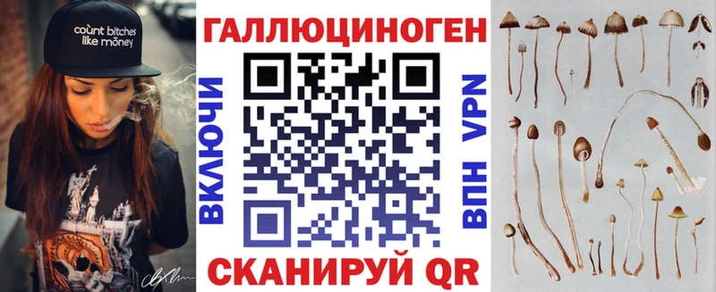 магазин  наркотиков  mega сайт  Псилоцибиновые грибы Psilocybe  Новая Ладога 